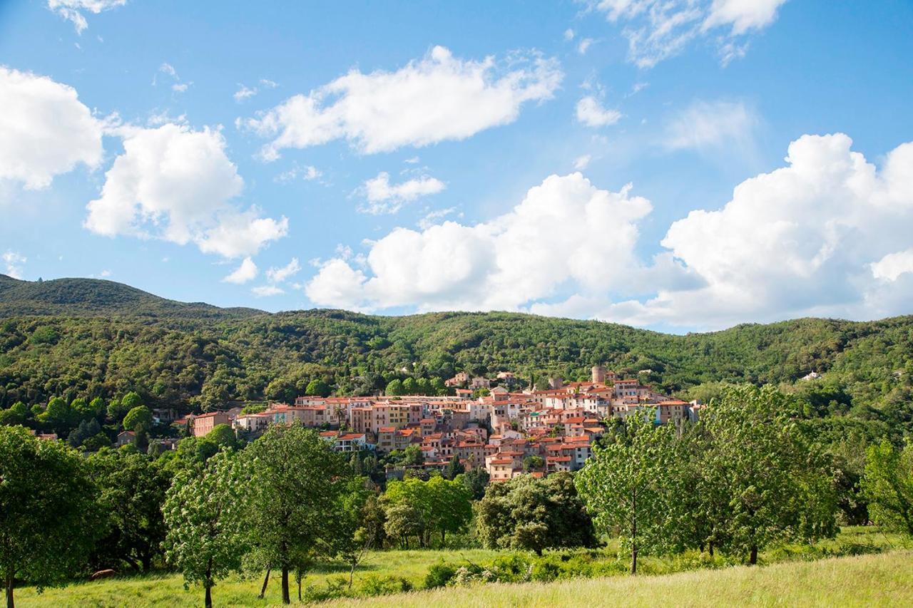 Le Roussillon Amélie-les-Bains-Palalda Exterior foto